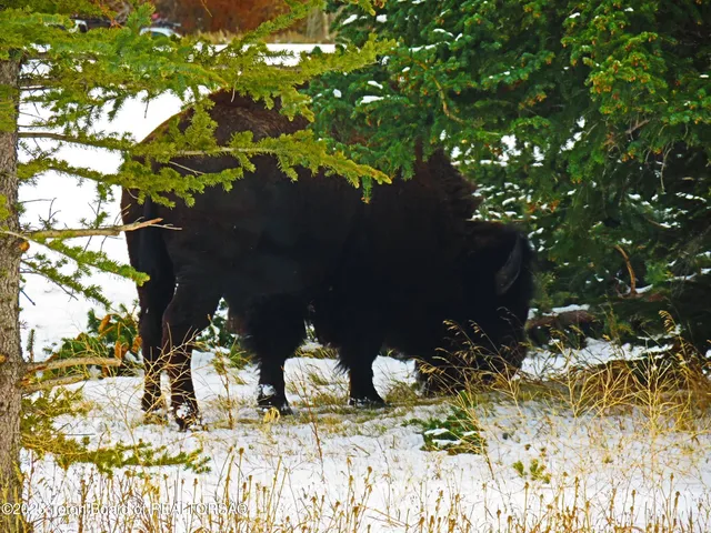 $4,995,000 | 6300 North Aspen Drive, Jackson, WY 83001