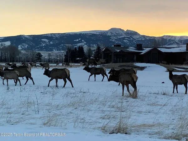 $4,790,000 | 6300 North Aspen Drive, Jackson, WY 83001