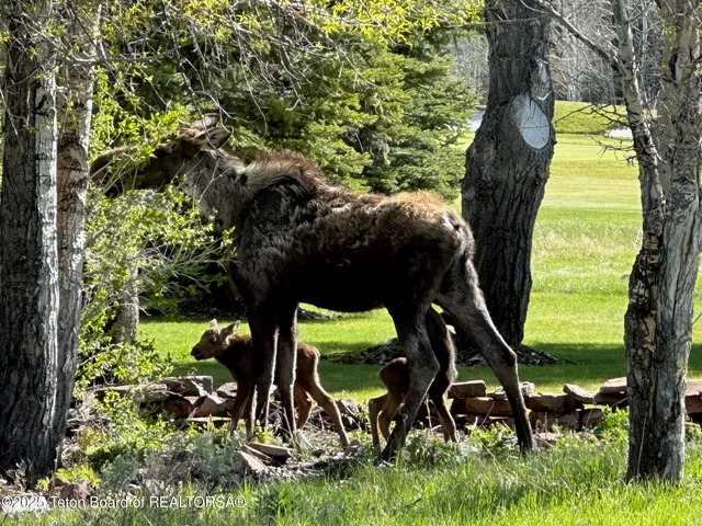 $4,790,000 | 6300 North Aspen Drive, Jackson, WY 83001