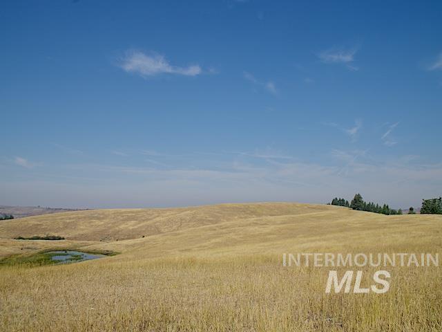 Tbd Tbd Ditch Creek Road Council, ID 83612 - Photo 7 of 11