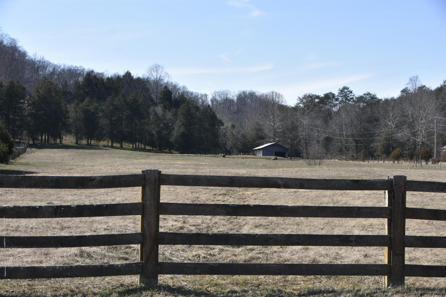15 Quail Run Road Irvine, KY 40336 - Photo 2 of 7 The sellers used the property for cows a