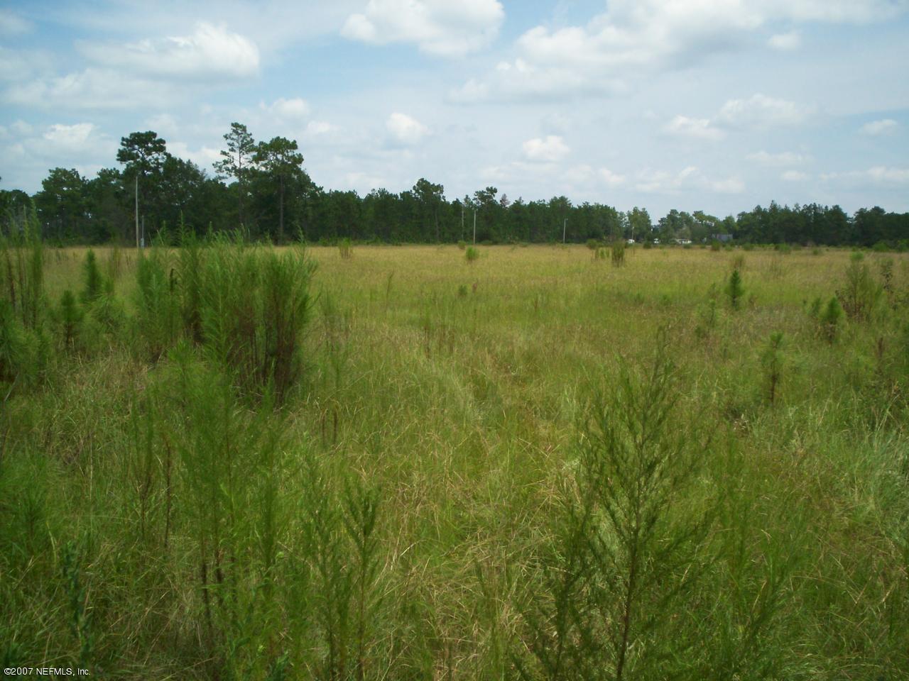 5581 Carter Spencer Road Middleburg, FL 32068 - Photo 8 of 15 Property View