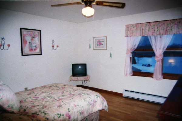 17 Old Stagecoach Road Kunkletown, PA 18058 - Photo 6 of 10 Master Bedroom