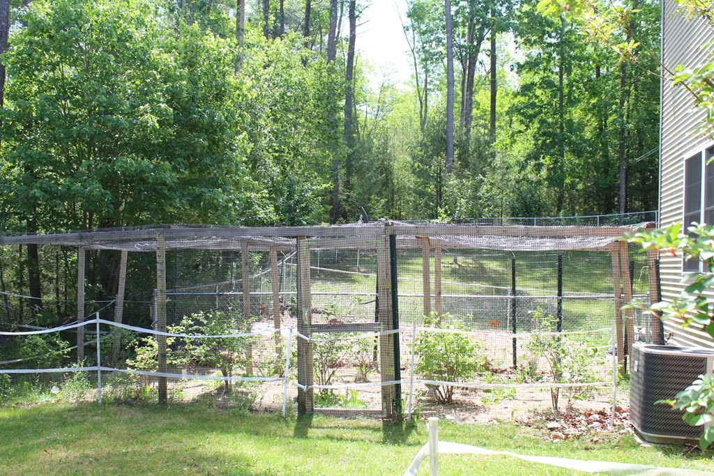 838 A Muddy Brook Road Hardwick, MA 01082 - Photo 5 of 30 Gallery Image 5