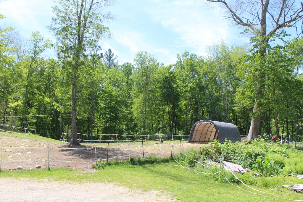 838 A Muddy Brook Road Hardwick, MA 01082 - Photo 7 of 30 Gallery Image 7