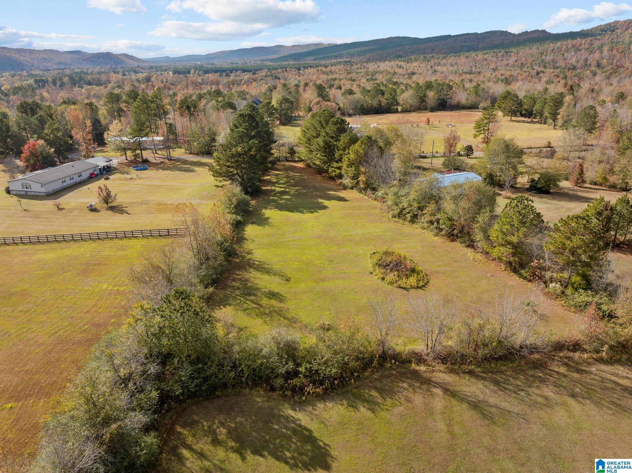 0 Armstrong Road, Unit 1 Ashville, AL 35953 - Photo 11 of 12