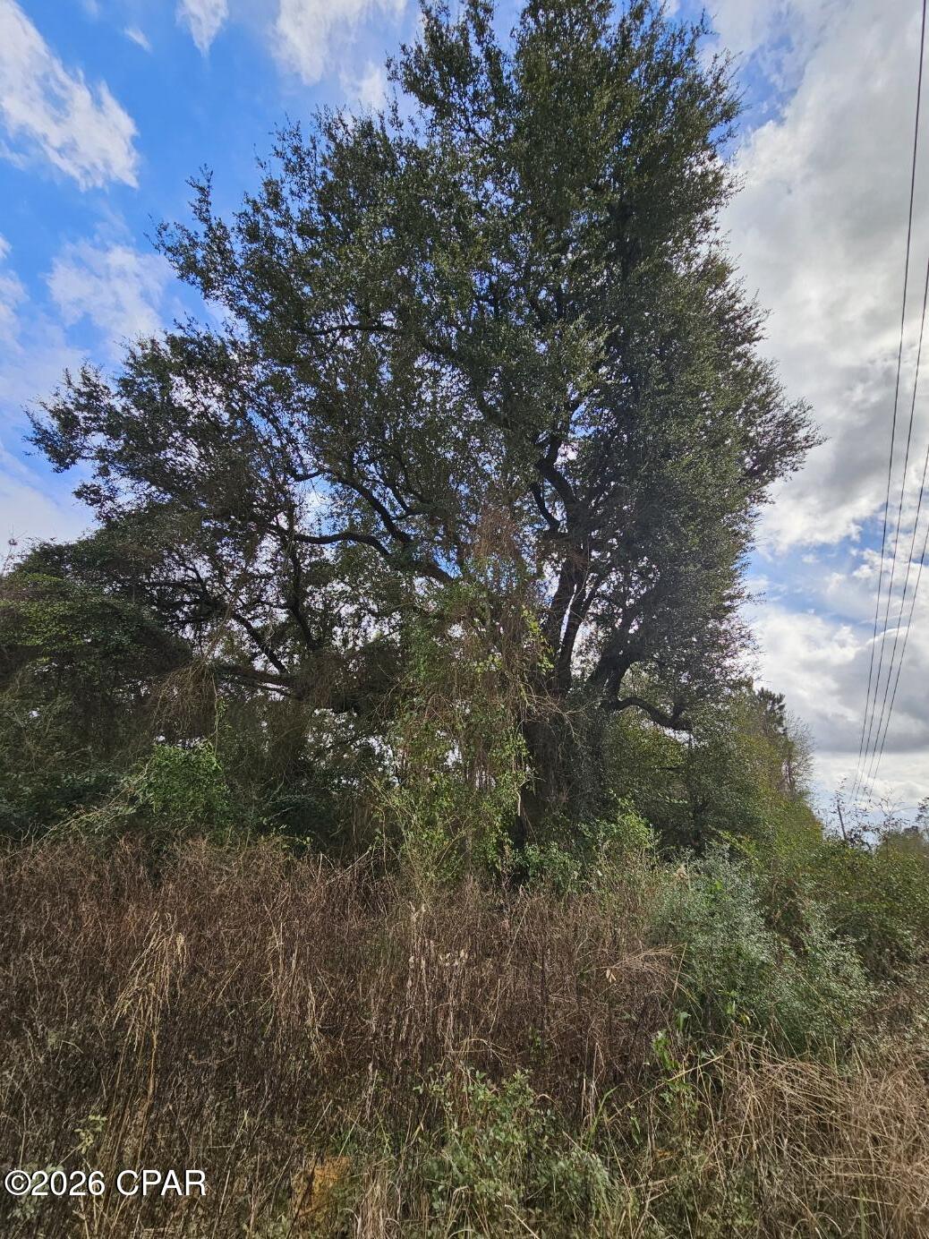 Tbd Kynesville Road Marianna, FL 32448 - Photo 5 of 14