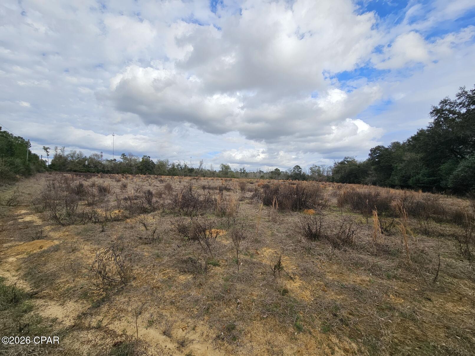 Tbd Kynesville Road Marianna, FL 32448 - Photo 6 of 14