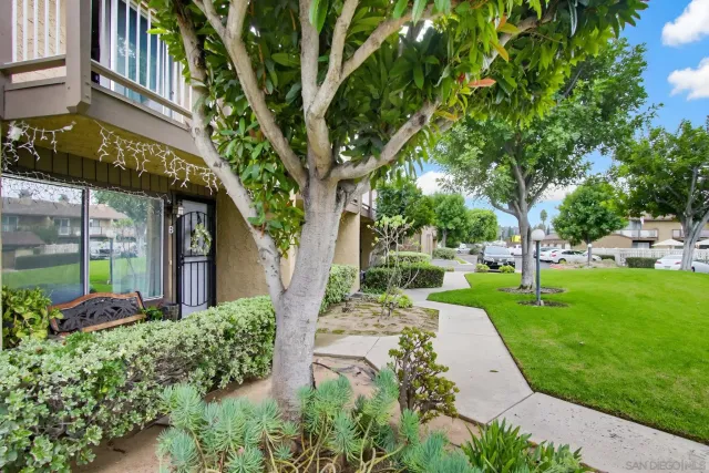 a view of a garden with a fountain