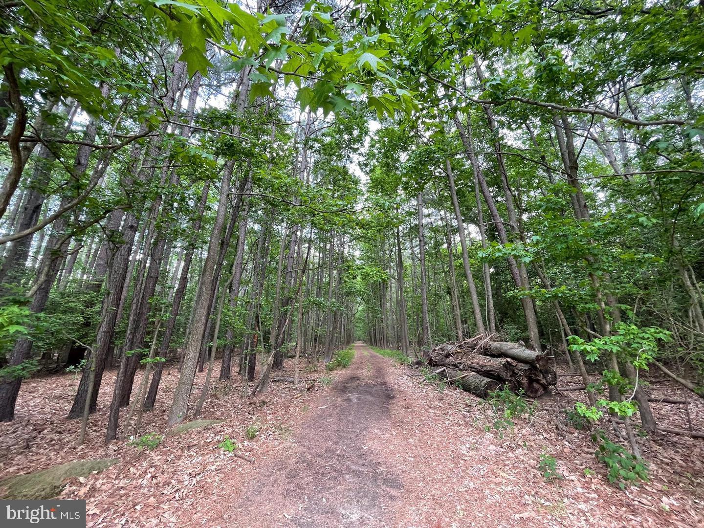 11520 Beacon Hill Court Issue, MD 20645 - Photo 55 of 62