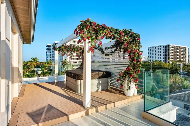 a view of a yard and a palm tree