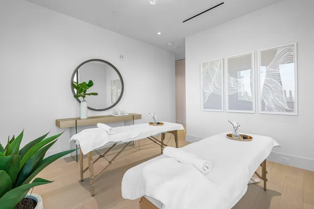 a living room with couches and a potted plant