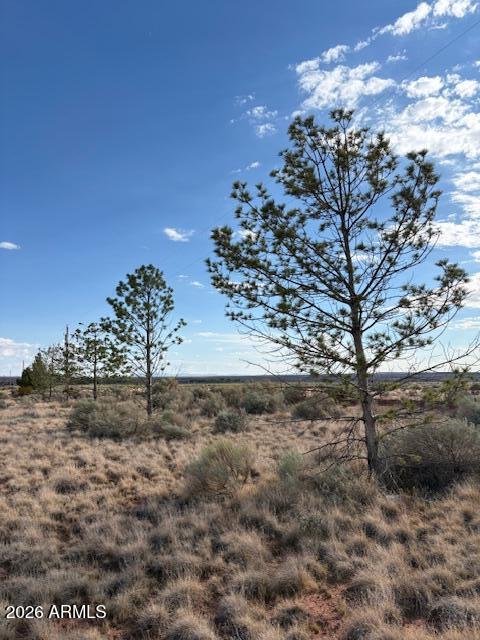 0 South School Bound Road, Unit LOT 2 Colorado City, AZ 86021 - Photo 8 of 13 a view of a dry yard with trees