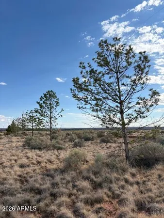 $120,000 | 0 South School Bound Road, Unit LOT 2, Colorado City, AZ 86021