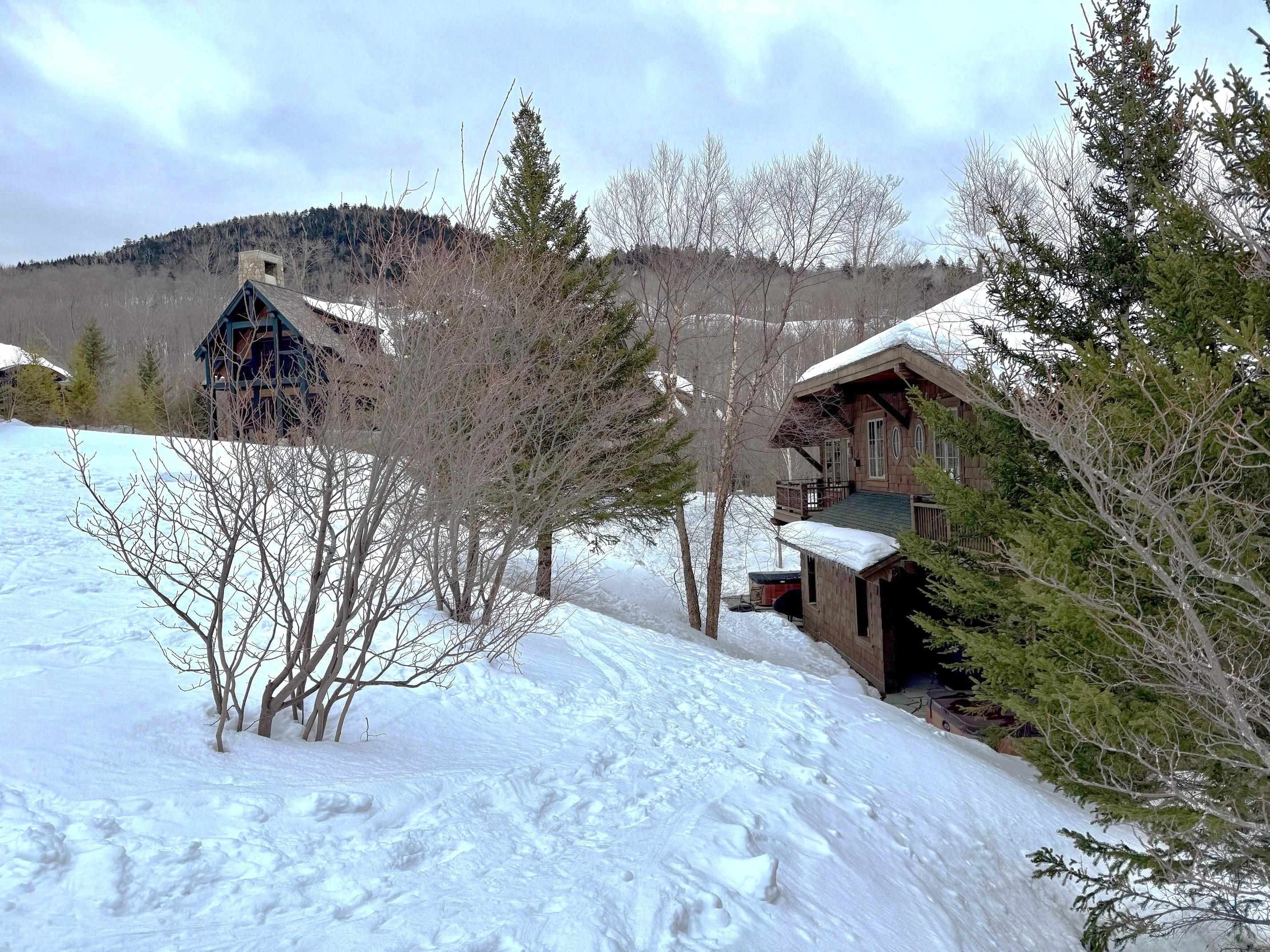 20 Inspiration Lane, Unit 19 Stowe, VT 05672 - Photo 50 of 53