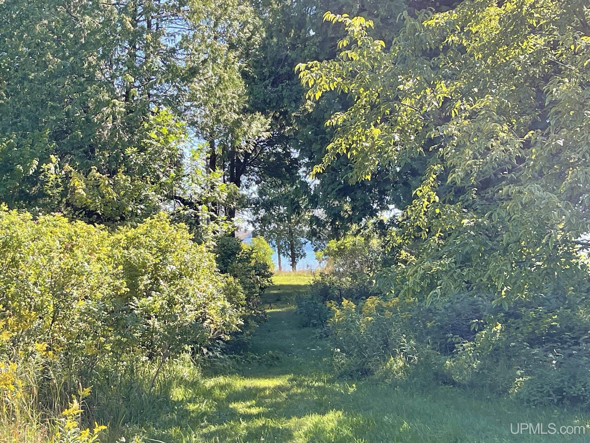 Tbd Ll Road Garden, MI 49835 - Photo 24 of 49