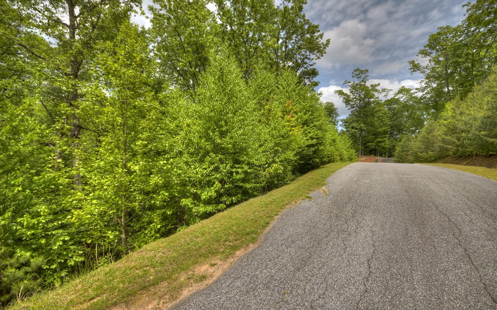 31 Settlers Ridge Road Ellijay, GA 30540 - Photo 26 of 41 Additional View