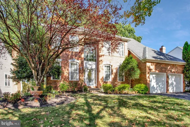 a row of palm trees in front of house