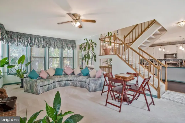 a living room with furniture and a potted plant