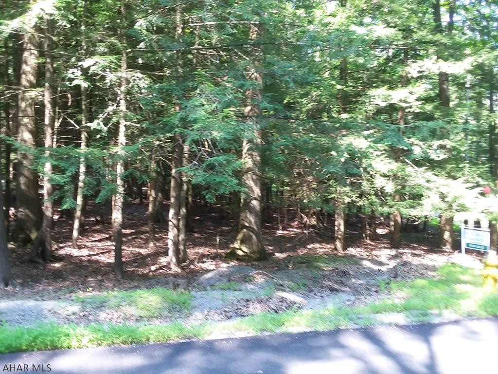 155-163 Troxell Spring Road Flinton, PA 16640 - Photo 2 of 2