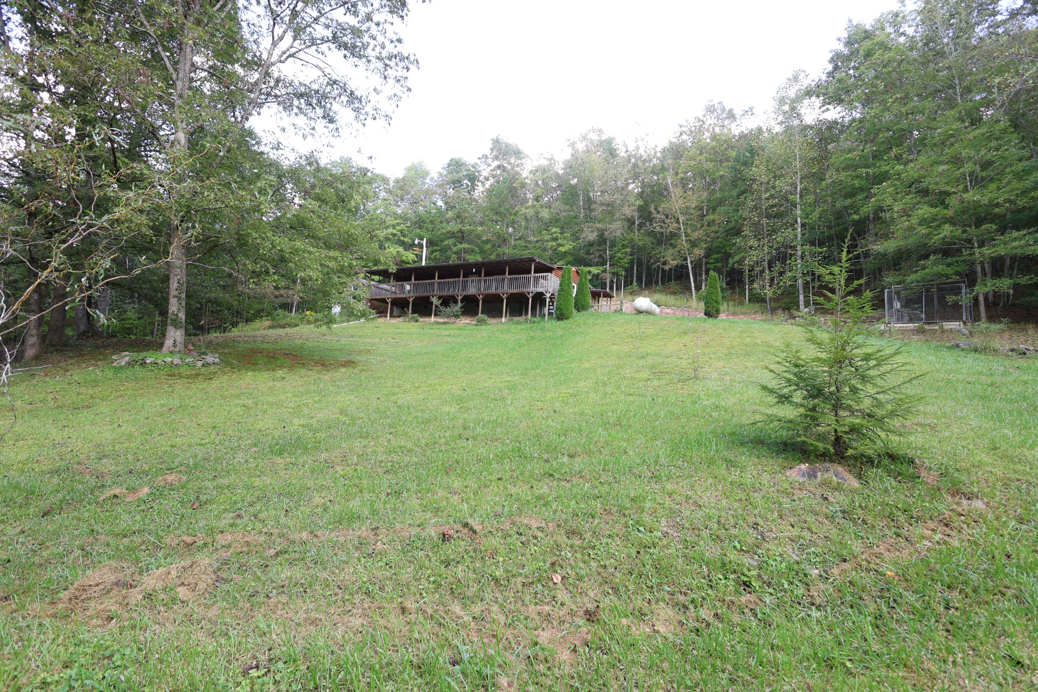133 Lily Road Lancing, TN 37770 - Photo 33 of 35 Gallery Image 33