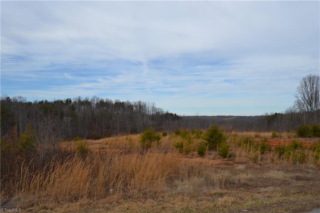 3175 Anglin Mill Road Stoneville, NC 27048 - Photo 1 of 9 Gallery Image 1
