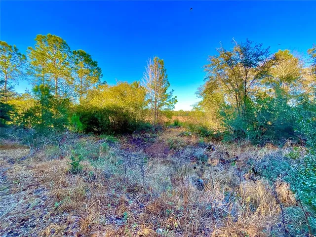 $11,499 | Tbd Lakeview Way, Interlachen, FL 32148