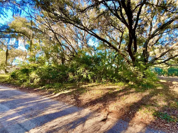 a view of outdoor space with trees
