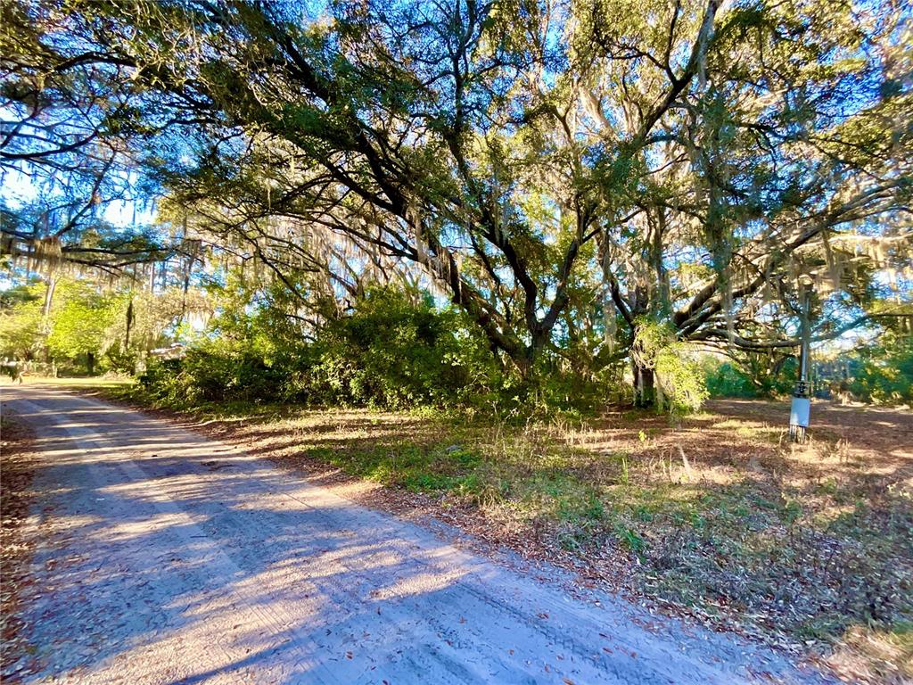 Tbd Lakeview Way Interlachen, FL 32148 - Photo 6 of 14