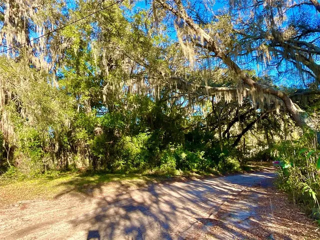 $11,499 | Tbd Lakeview Way, Interlachen, FL 32148