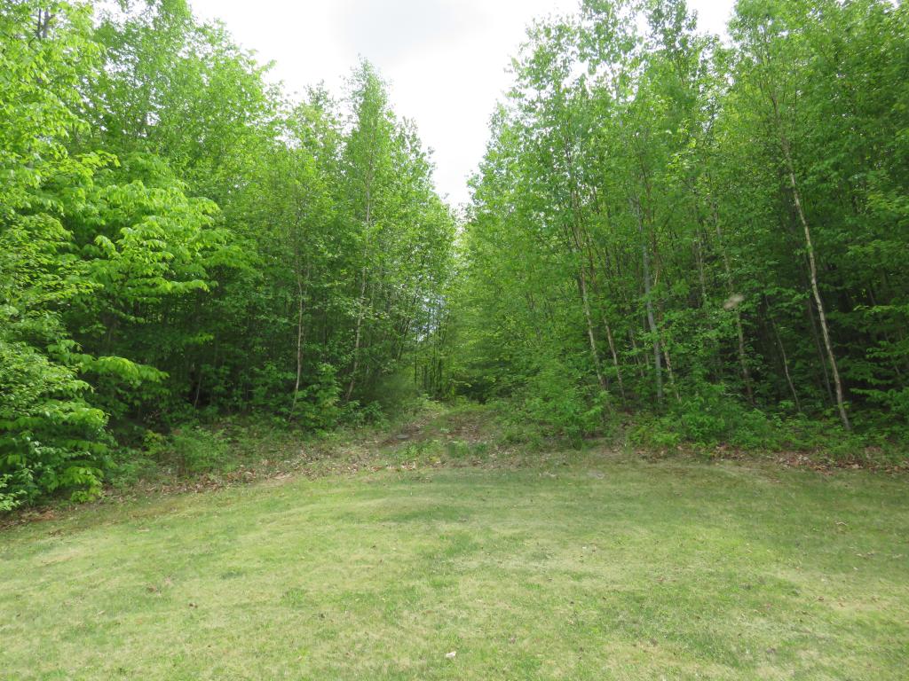 703 Miller Pond Road Grantham, NH 03753 - Photo 26 of 35