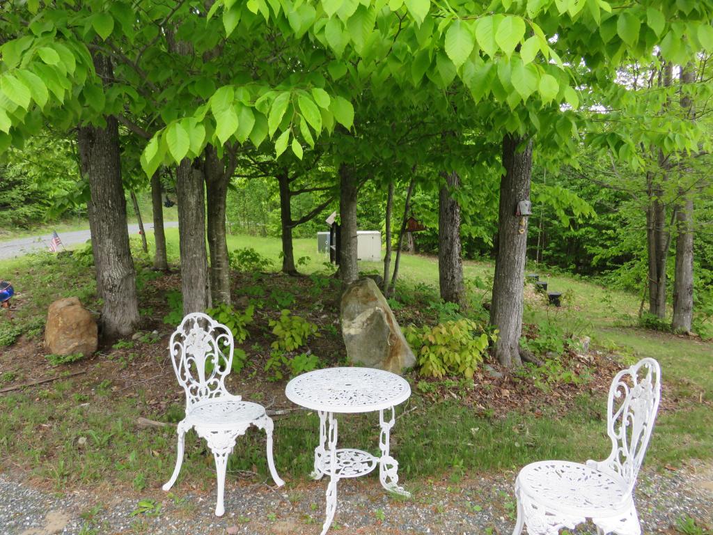 703 Miller Pond Road Grantham, NH 03753 - Photo 29 of 35