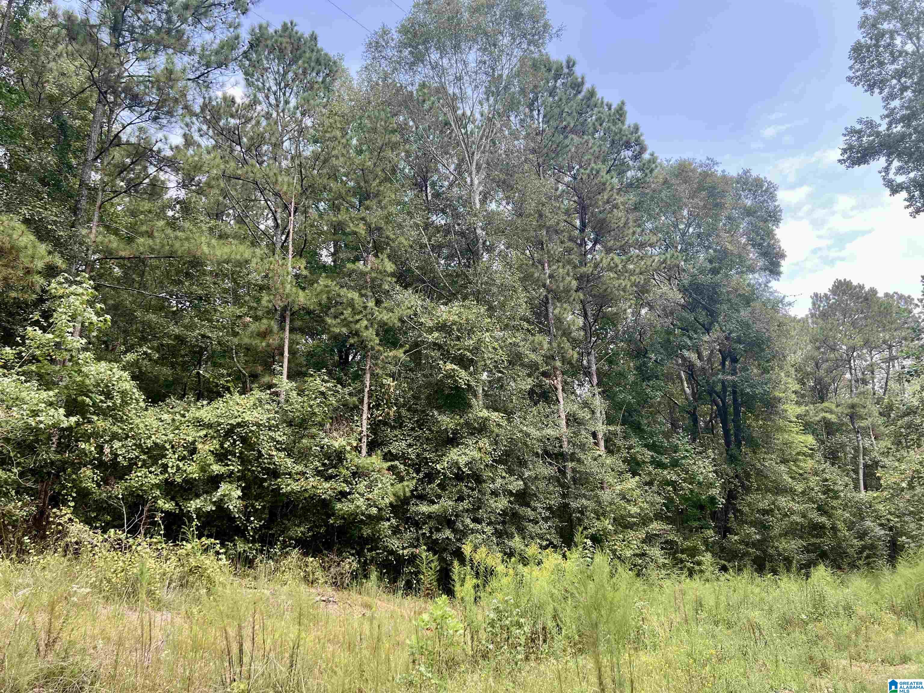 252 County Road 252 Wedowee, AL 36278 - Photo 4 of 9