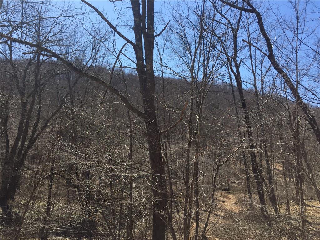 0 Jefferson School Road Ligonier, PA 15658 - Photo 8 of 20 Gallery Image 8