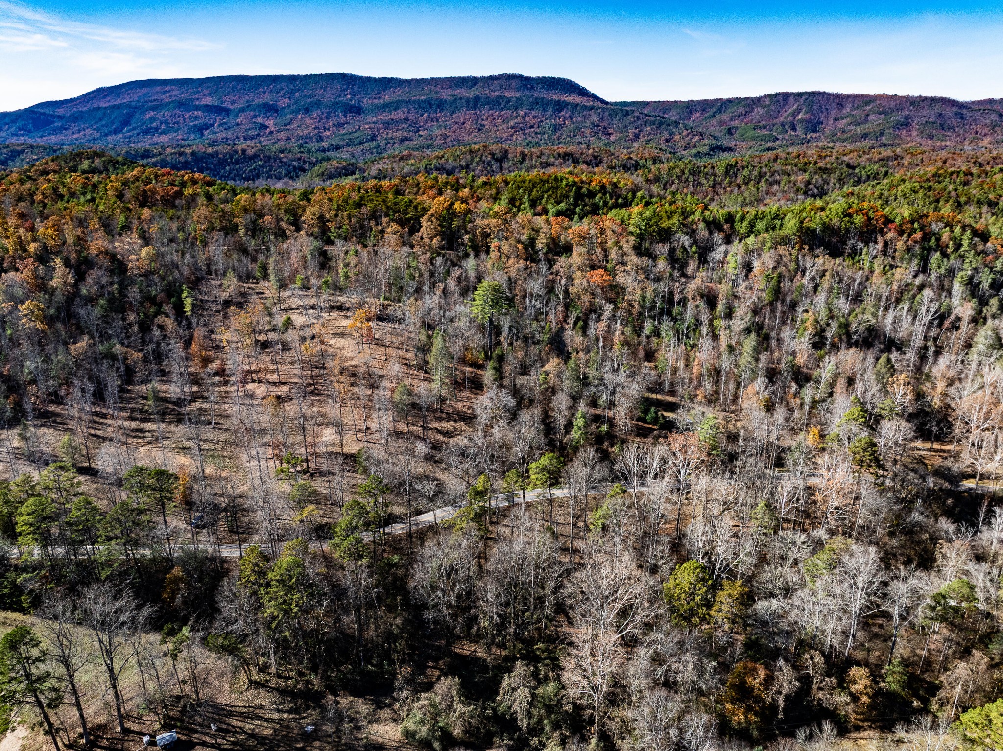 2277 Tellico Reliance Road Reliance, TN 37369 - Photo 10 of 34 a view of a forest with a mountain