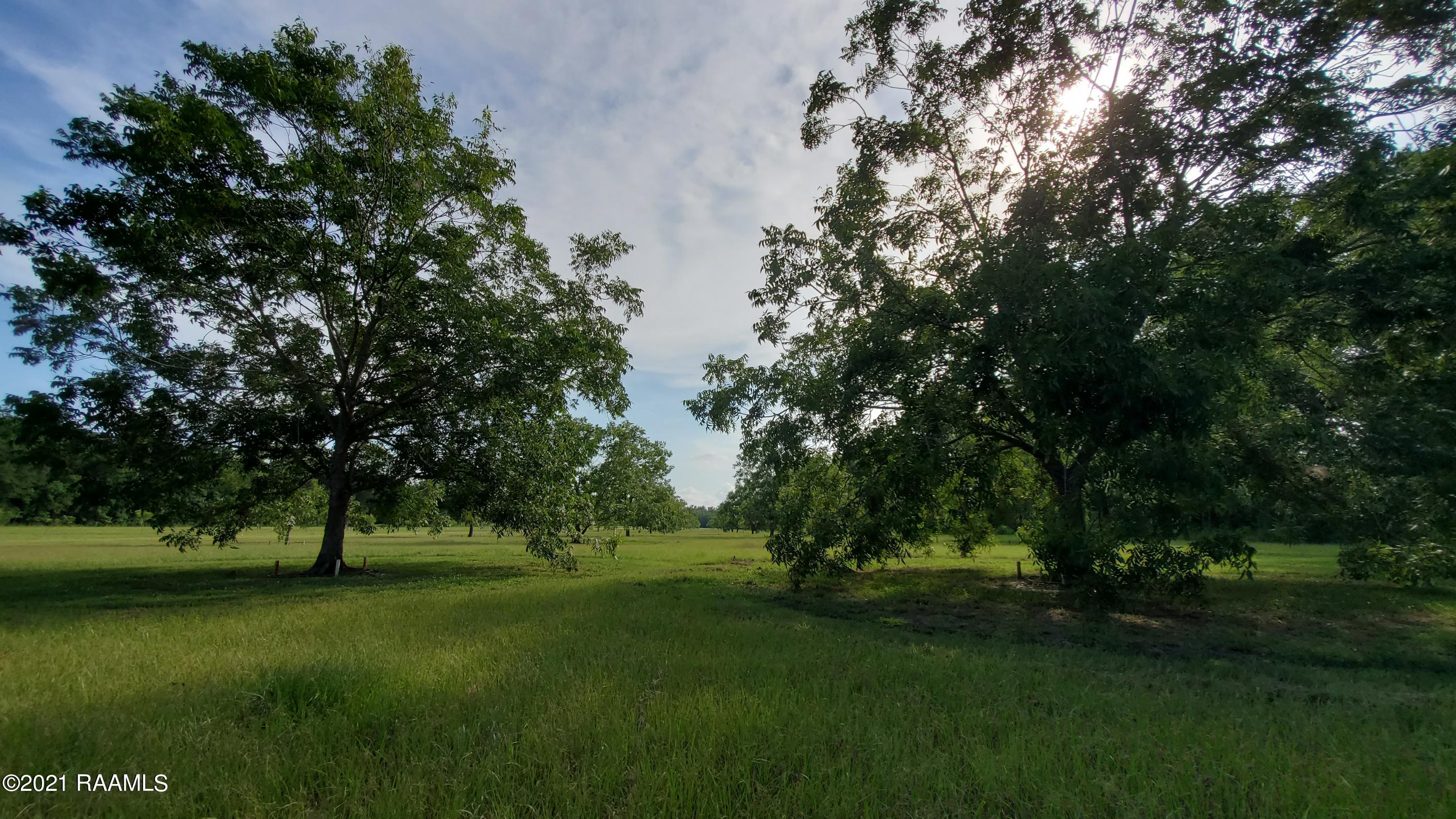 0 Gloria Kern Road Breaux Bridge, LA 70517 - Photo 24 of 25