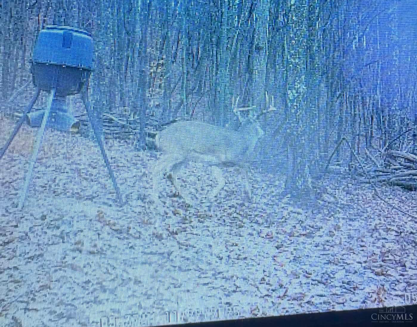 189 Hamilton Road Lynx, OH 45650 - Photo 72 of 75