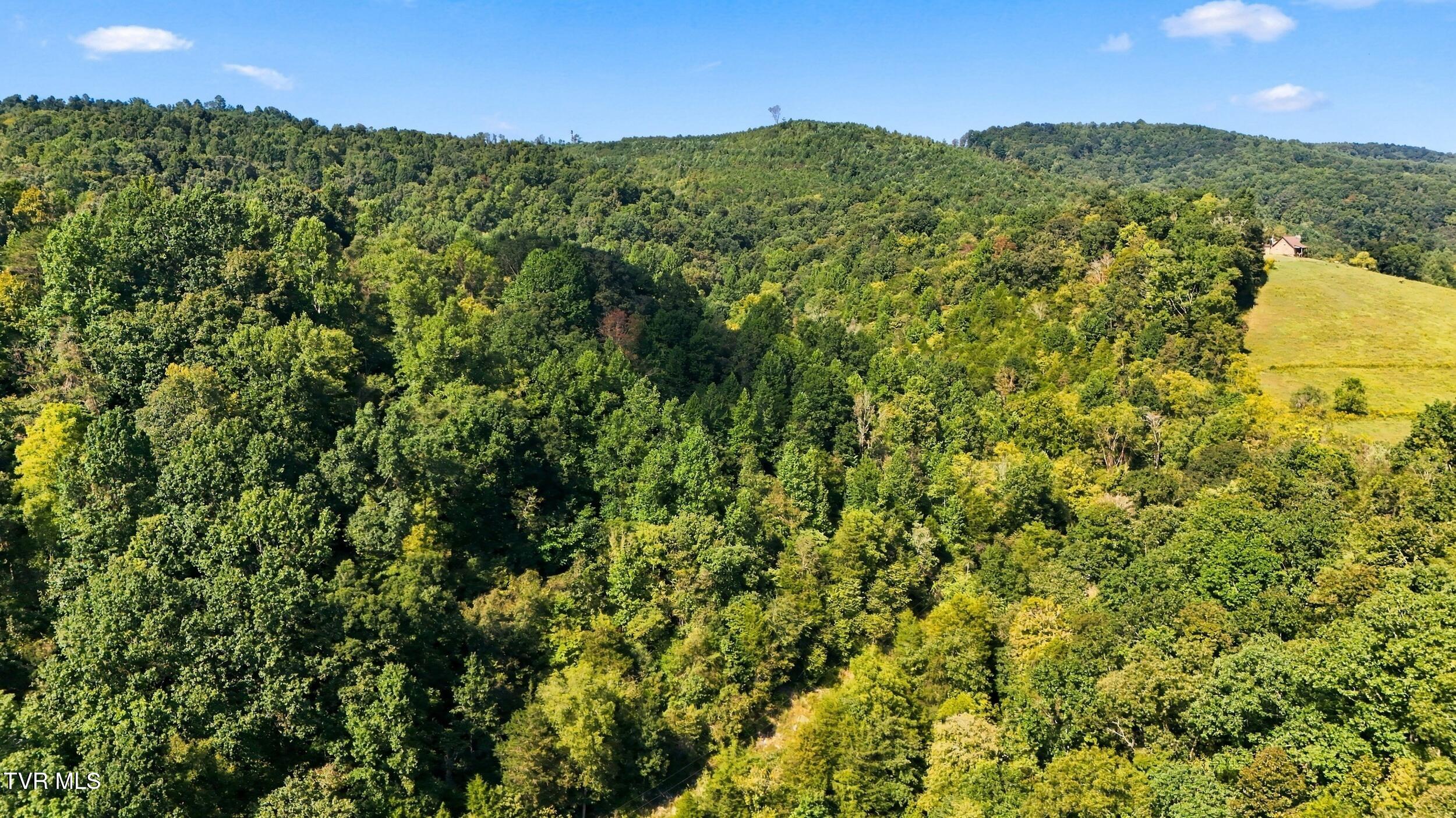 2918 Copper Creek Road Duffield, VA 24244 - Photo 14 of 31 dji_20260915152410_0806_d