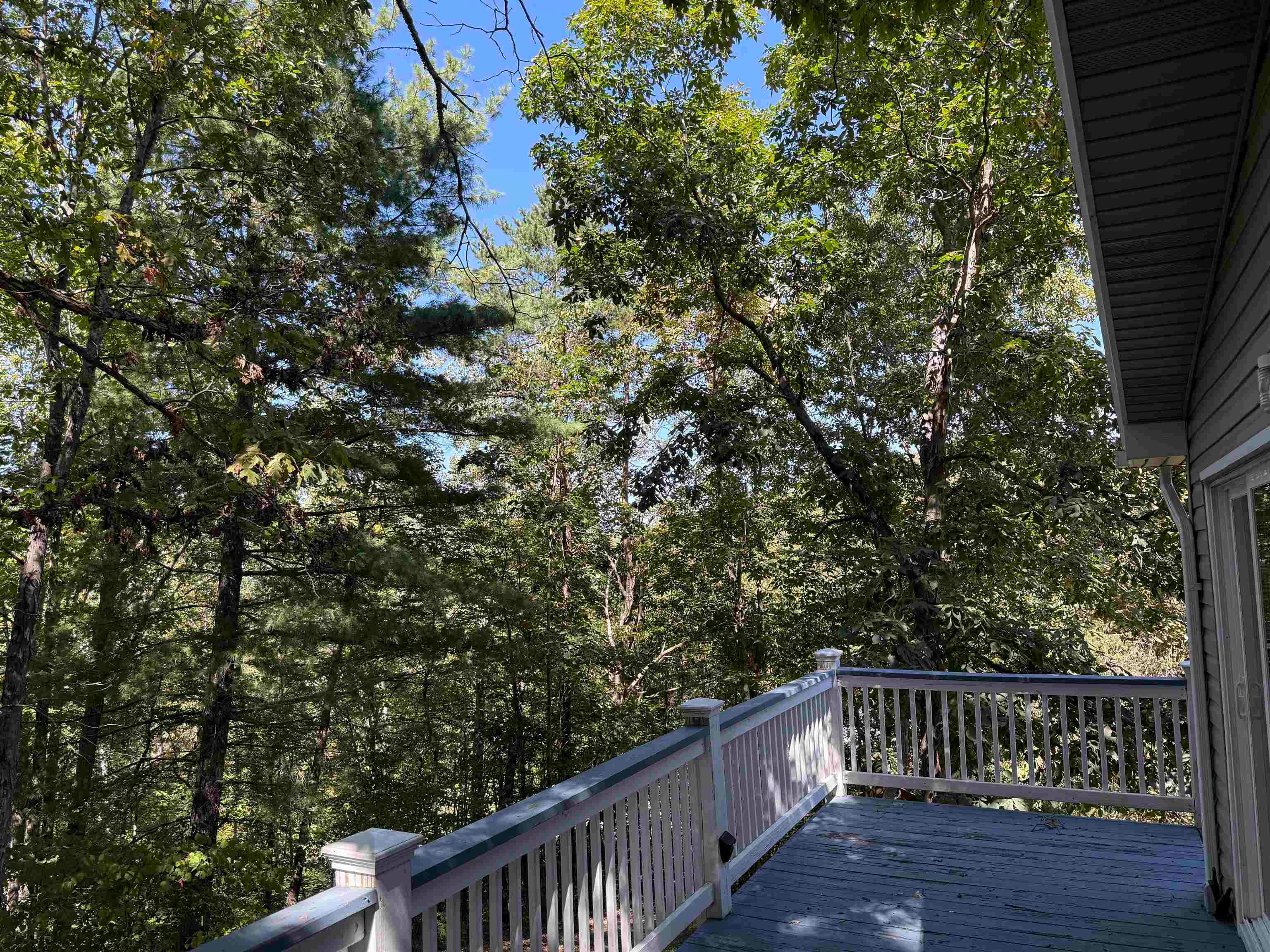 2121 Byrd Road Elliston, VA 24087 - Photo 11 of 40 Gallery Image 11