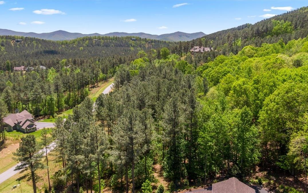 Lt158 Stables Loop Blairsville, GA 30512 - Photo 2 of 42 a view of a lush green hillside and houses