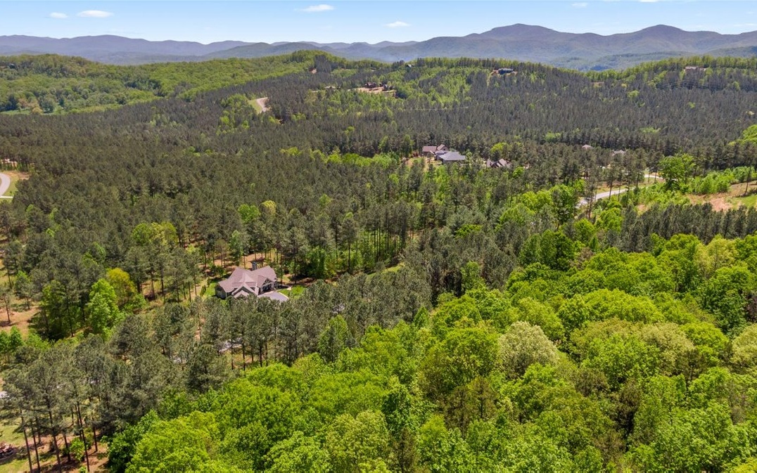 Lt158 Stables Loop Blairsville, GA 30512 - Photo 29 of 42 a view of a lake in a forest