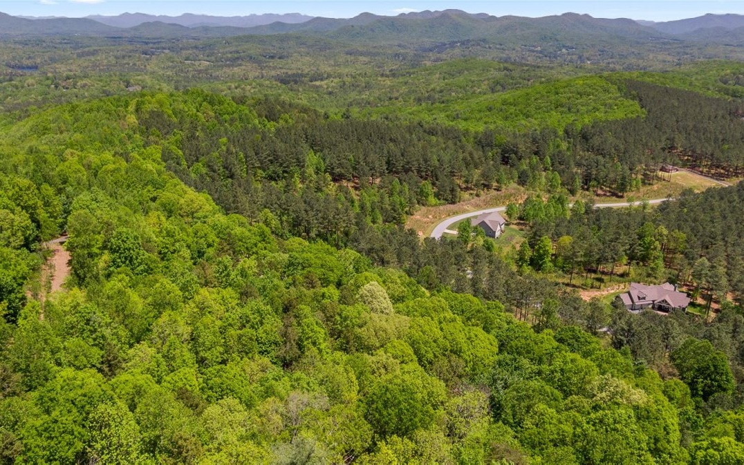 Lt158 Stables Loop Blairsville, GA 30512 - Photo 30 of 42 a view of a lush green hillside and a houses