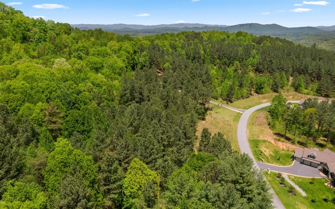 Lt158 Stables Loop Blairsville, GA 30512 - Photo 3 of 42 a view of a city with lush green forest