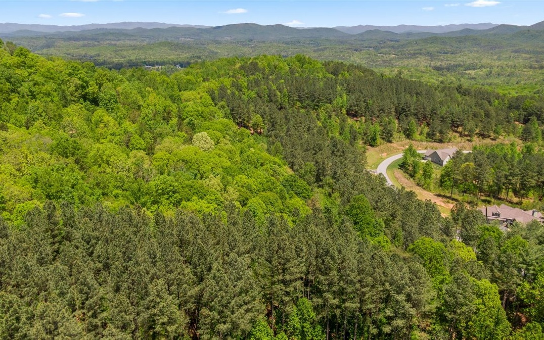 Lt158 Stables Loop Blairsville, GA 30512 - Photo 31 of 42 a view of a lush green forest with trees in the background
