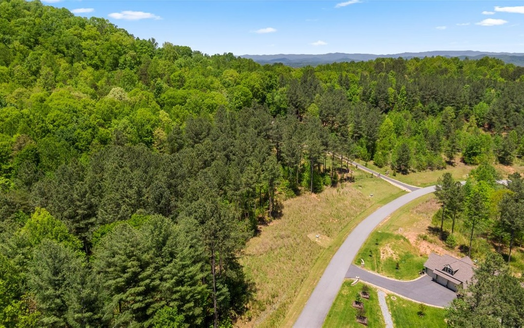 Lt158 Stables Loop Blairsville, GA 30512 - Photo 32 of 42