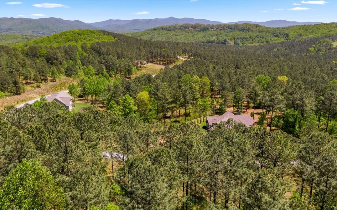 Lt158 Stables Loop Blairsville, GA 30512 - Photo 33 of 42 a view of a forest with a mountain