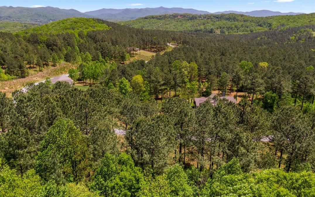 Lt158 Stables Loop Blairsville, GA 30512 - Photo 34 of 42 a view of lake with mountain