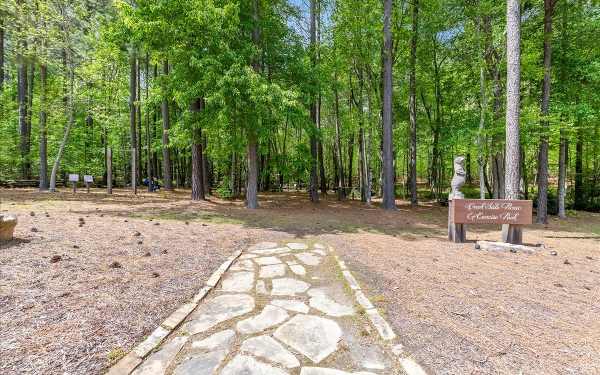Lt158 Stables Loop Blairsville, GA 30512 - Photo 35 of 42 a backyard of a house with lots of green space and fountain