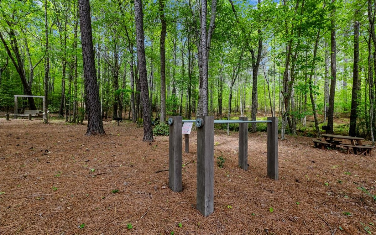 Lt158 Stables Loop Blairsville, GA 30512 - Photo 36 of 42 a backyard of a house with lots of green space and seating