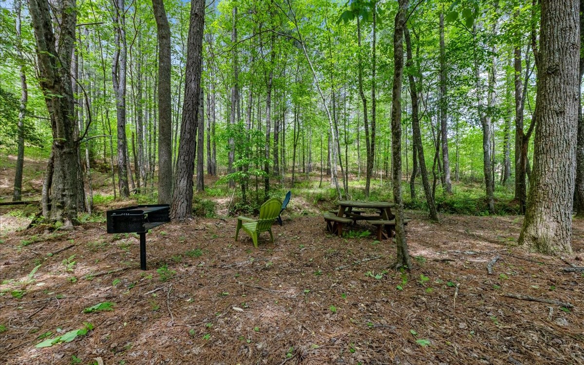 Lt158 Stables Loop Blairsville, GA 30512 - Photo 37 of 42 a view of a park with a bench and some trees